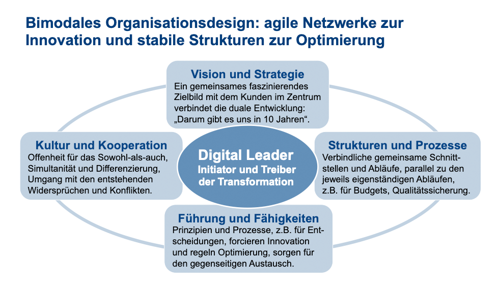 Bimodales Organisationsdesign. Agile Netzwerke